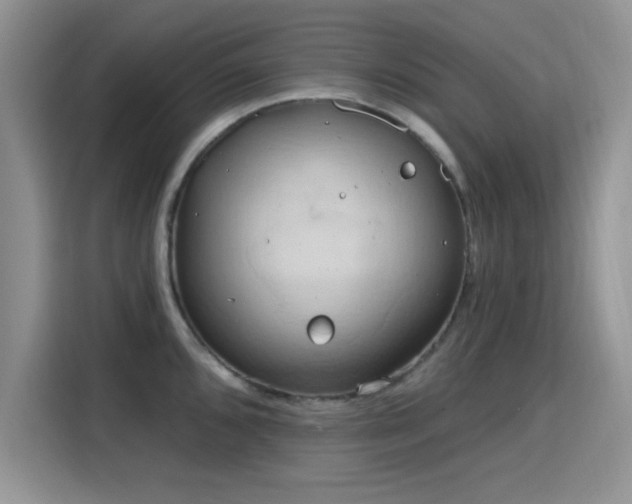 X0000115791096200911201327