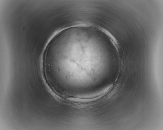 X0000115791099200911201327