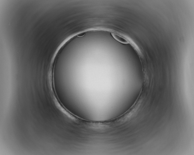 X0000115791100200911201327