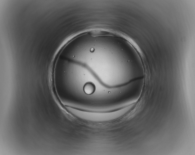 X0000115791101200911201327