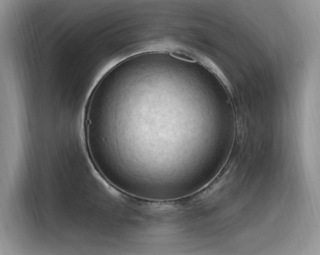 X0000115791103200911201327