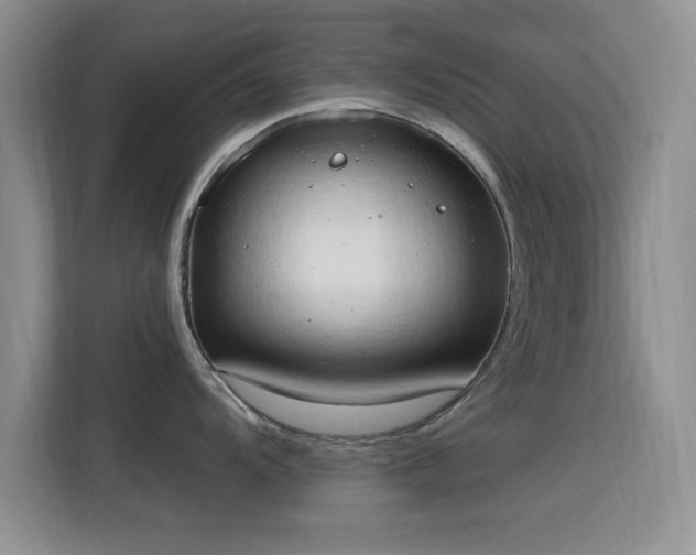 X0000115791104200911201327