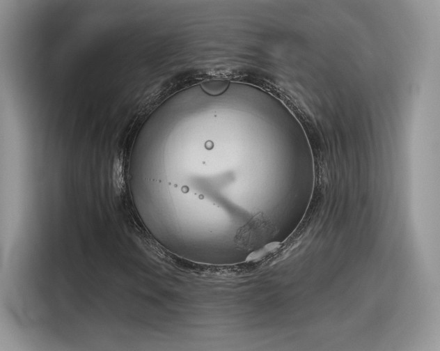 X0000115791106200911201326