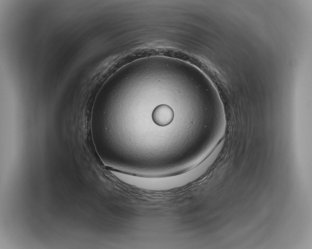 X0000115791110200911201326