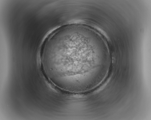 X0000115791117200911201326