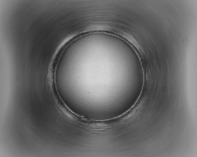 X0000115791119200911201326