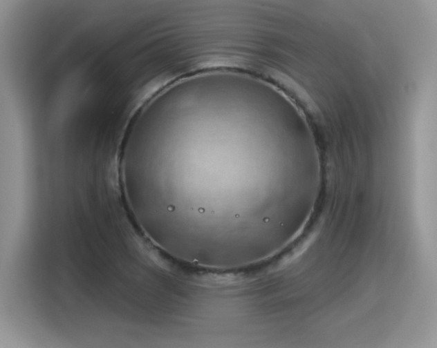 X0000115791121200911201326