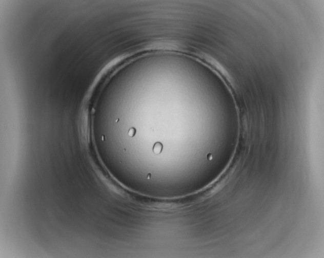 X0000115791123200911201326