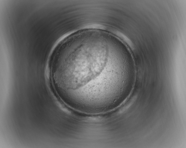 X0000115791125200911201326