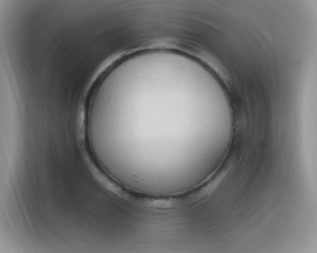 X0000115791126200911201326