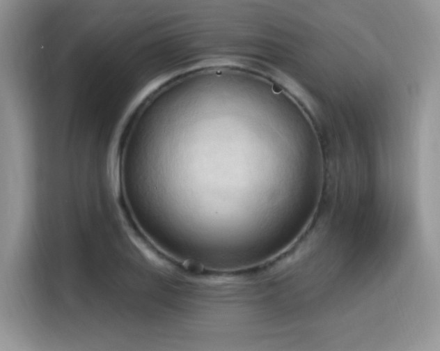 X0000115791127200911201326