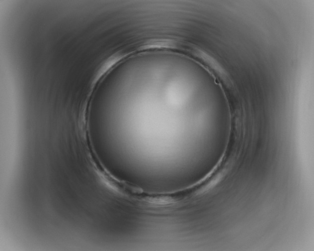 X0000115791129200911201326