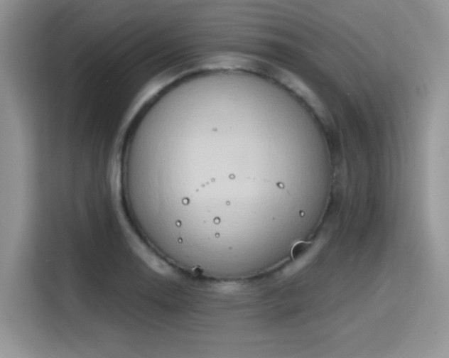 X0000115791130200911201327