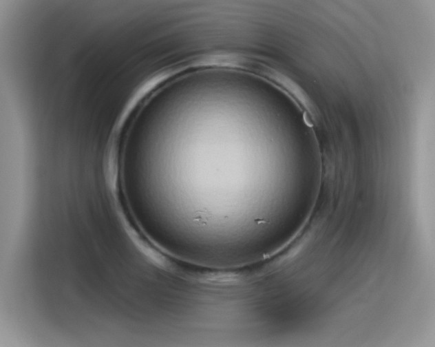 X0000115791131200911201327