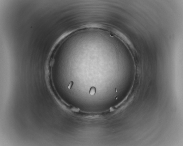 X0000115791133200911201327