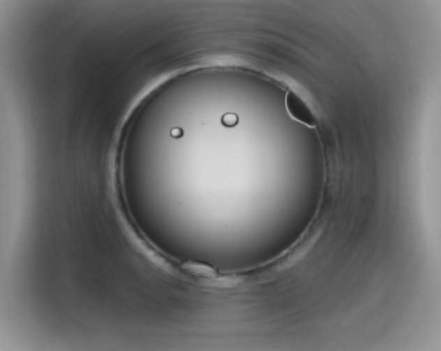 X0000115791134200911201327