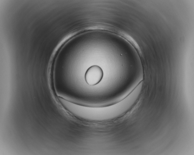 X0000115791138200911201327