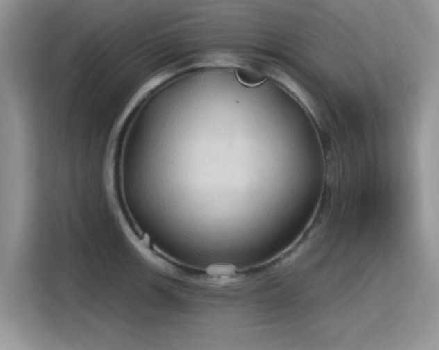 X0000115791139200911201327