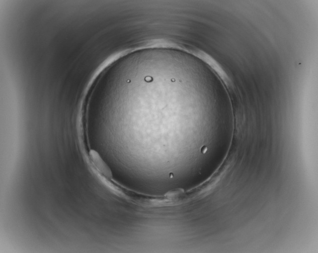 X0000115791142200911201327