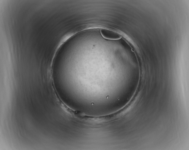 X0000115791145200911201327