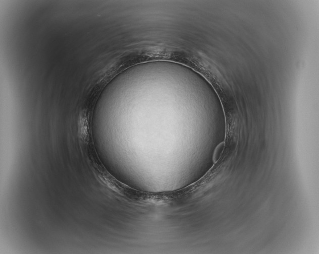 X0000115791154200911201326