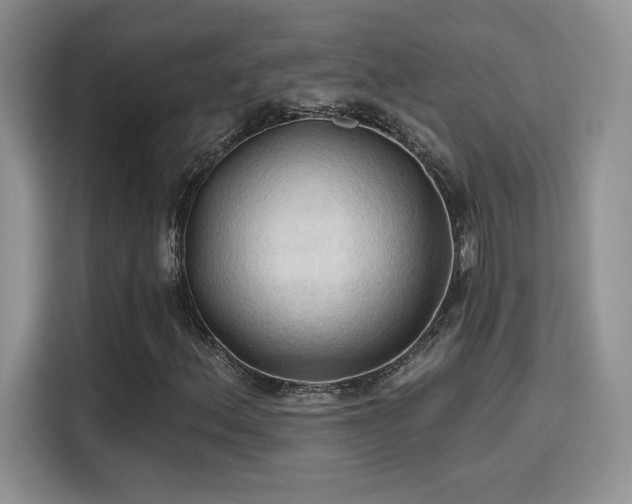 X0000115791156200911201326