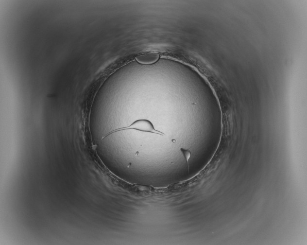 X0000115791158200911201326