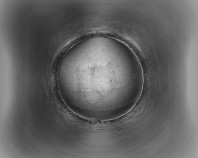 X0000115791159200911201326