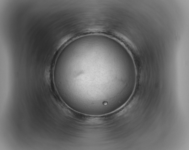 X0000115791162200911201326