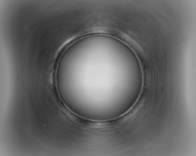 X0000115791166200911201326