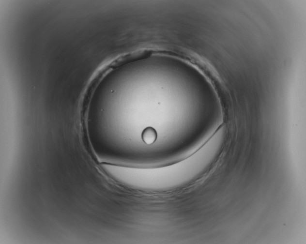 X0000115791168200911201326