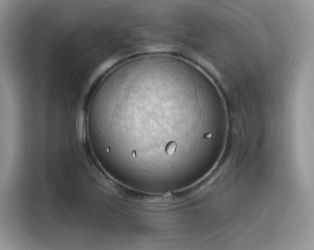 X0000115791171200911201326