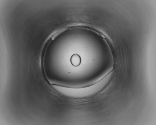 X0000115791173200911201326