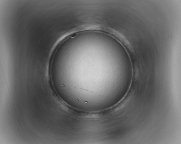 X0000115791174200911201326