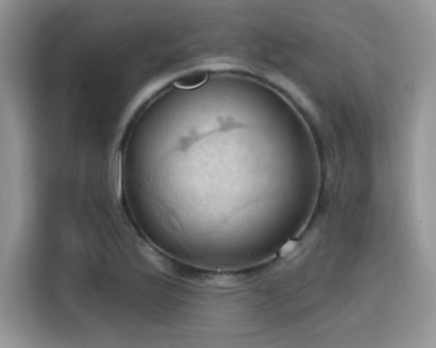 X0000115791175200911201326