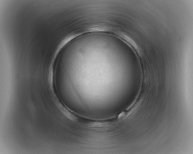 X0000115791179200911201326