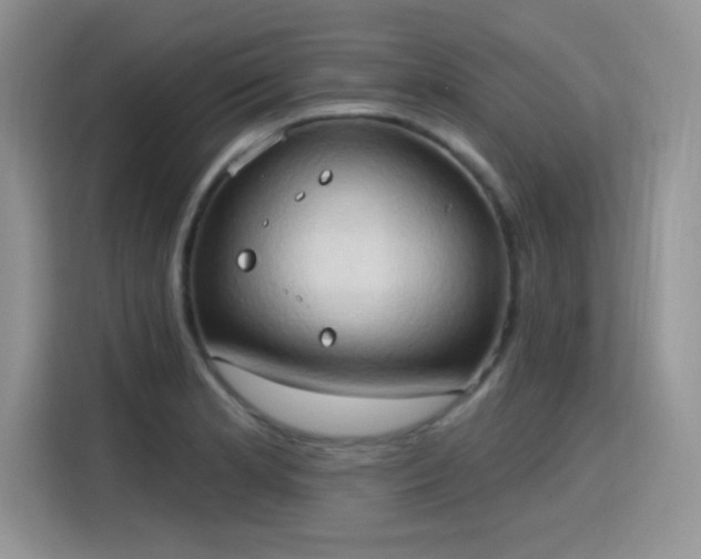 X0000115791181200911201326