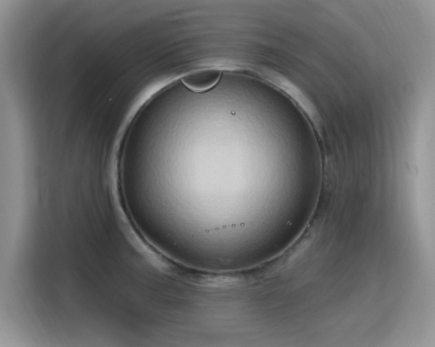 X0000115791187200911201326