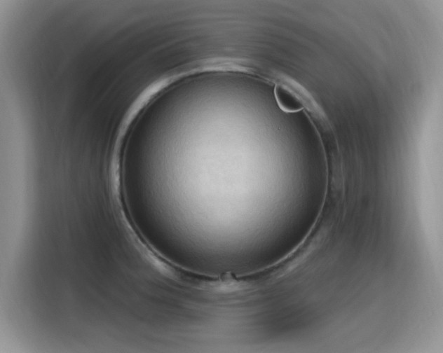 X0000115791188200911201326