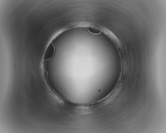 X0000115791190200911201326