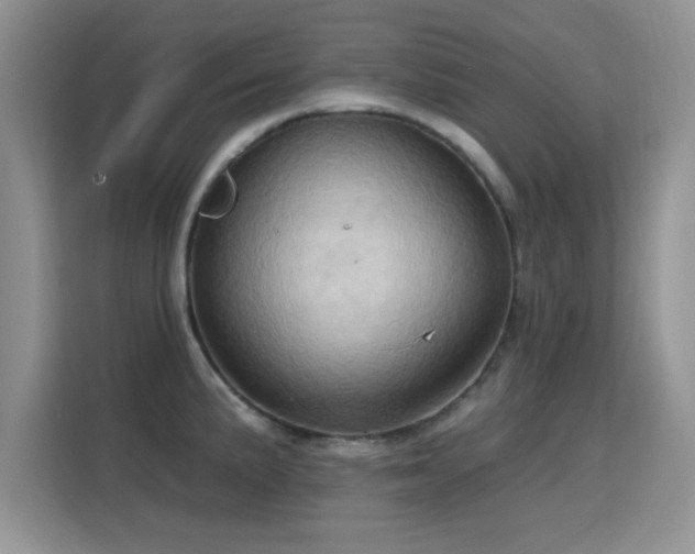 X0000115791191200911201326