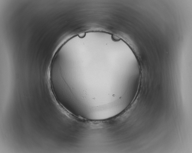 X0000115791198200911201326