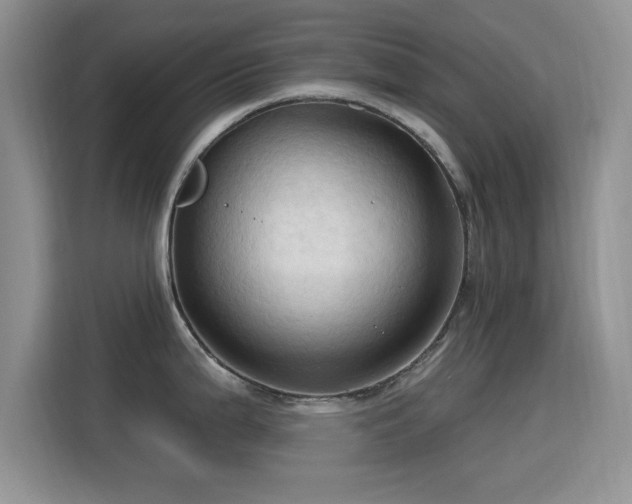 X0000115791199200911201326