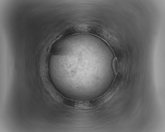 X0000115791201200911201325