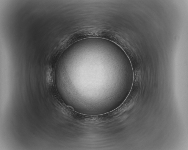 X0000115791202200911201325