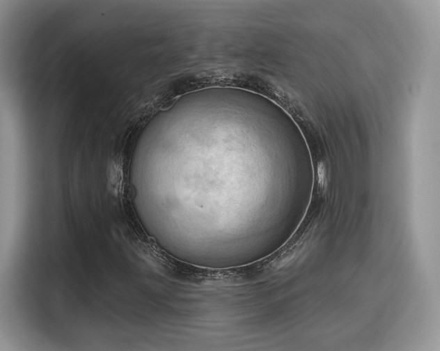 X0000115791203200911201325