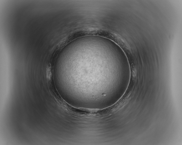 X0000115791204200911201325