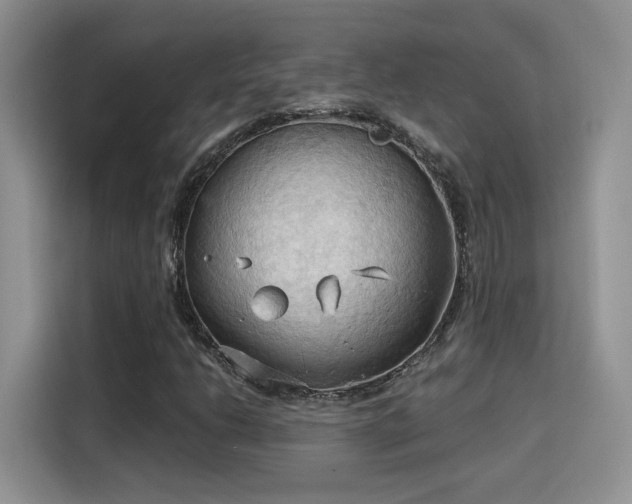 X0000115791206200911201325