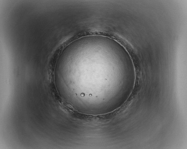 X0000115791207200911201325