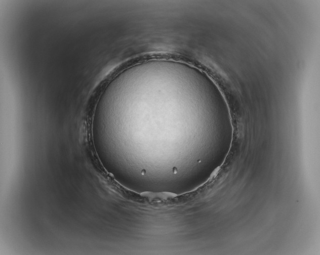 X0000115791208200911201325